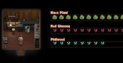 《纳迪亚之宝》金缕草在哪找