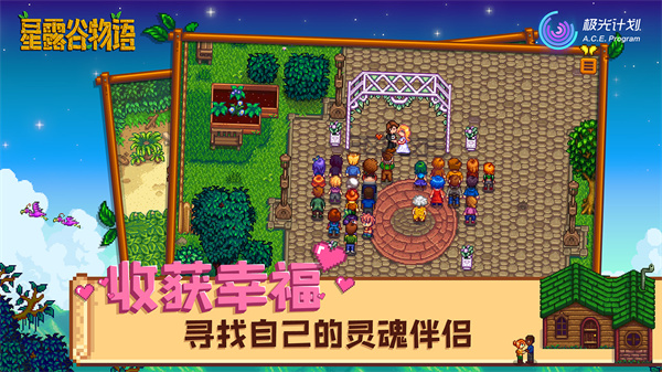 星露谷物语原版汉化