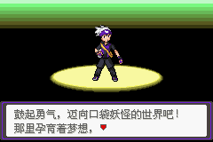 《口袋妖怪漆黑的魅影》5.0图文攻略