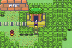 《口袋妖怪漆黑的魅影》5.0图文攻略