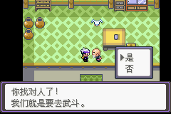 《口袋妖怪漆黑的魅影》5.0图文攻略