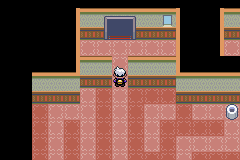 《口袋妖怪漆黑的魅影》5.0图文攻略