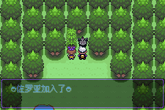 《口袋妖怪漆黑的魅影》5.0图文攻略