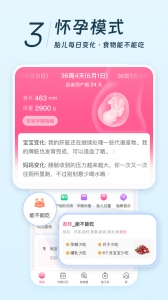 美柚app