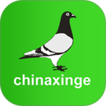 中国信鸽信息网app