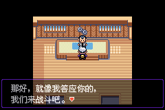 《口袋妖怪漆黑的魅影》5.0图文攻略