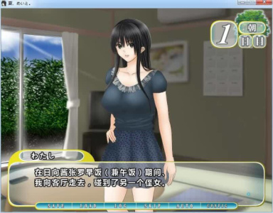 和侄女的夏天全CG存档版