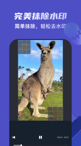 去水印视频剪辑