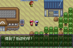 《口袋妖怪漆黑的魅影》5.0图文攻略