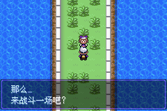 《口袋妖怪漆黑的魅影》5.0图文攻略