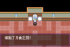 《口袋妖怪漆黑的魅影》5.0图文攻略