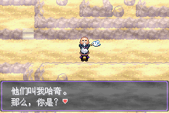 《口袋妖怪漆黑的魅影》5.0图文攻略