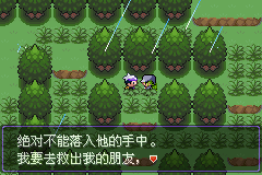 《口袋妖怪漆黑的魅影》5.0图文攻略