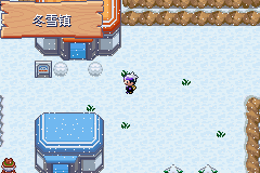 《口袋妖怪漆黑的魅影》5.0图文攻略