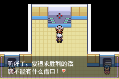 《口袋妖怪漆黑的魅影》5.0图文攻略