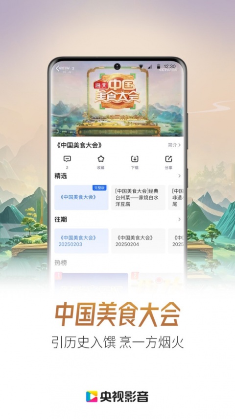央视影音大字版