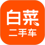 白菜二手车app