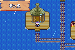 《口袋妖怪漆黑的魅影》5.0图文攻略