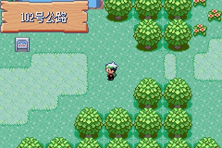 口袋妖怪绿宝石386新汉化版