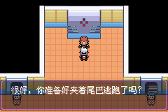 《口袋妖怪漆黑的魅影》5.0图文攻略