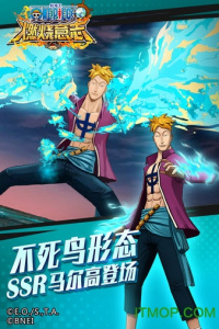 航海王燃烧意志简化版