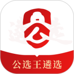 公选王遴选网app