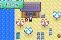 《口袋妖怪漆黑的魅影》5.0图文攻略