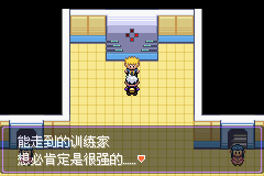 《口袋妖怪漆黑的魅影》5.0图文攻略