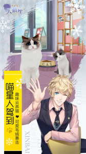 梦间集天鹅座华为渠道服