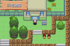 《口袋妖怪漆黑的魅影》5.0图文攻略