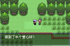 《口袋妖怪漆黑的魅影》5.0图文攻略