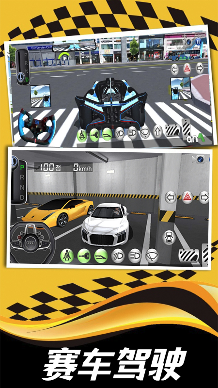 模拟驾驶大师