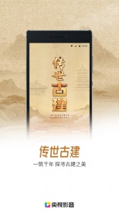 央视影音大字版