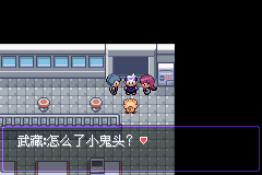 《口袋妖怪漆黑的魅影》5.0图文攻略