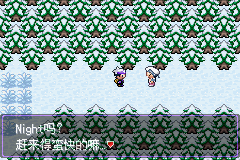 《口袋妖怪漆黑的魅影》5.0图文攻略