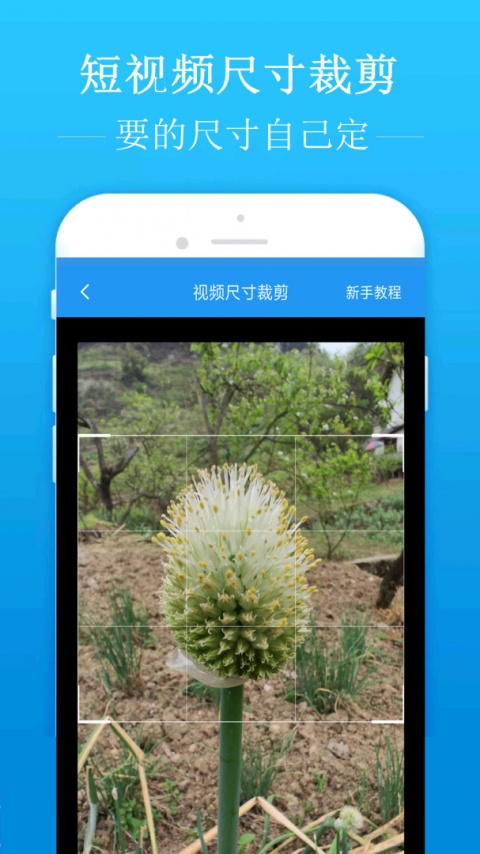 去水印吧app