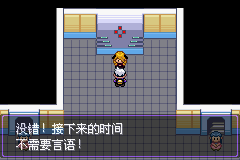 《口袋妖怪漆黑的魅影》5.0图文攻略