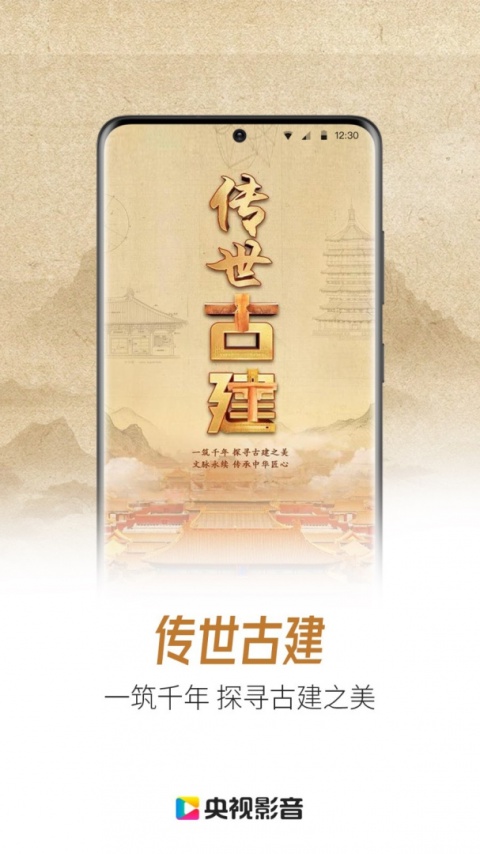 央视影音大字版