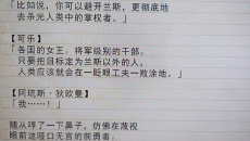 《兰斯10》故事内容介绍