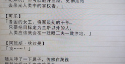 《兰斯10》故事内容介绍