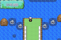 《口袋妖怪漆黑的魅影》5.0图文攻略