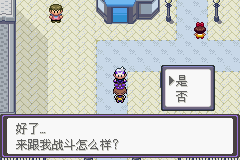 《口袋妖怪漆黑的魅影》5.0图文攻略