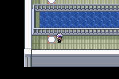 《口袋妖怪漆黑的魅影》5.0图文攻略