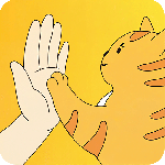 友猫app