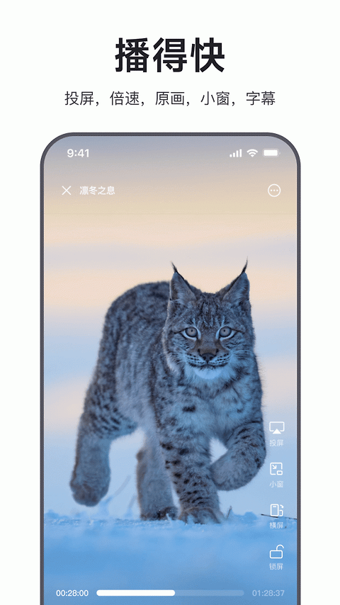 迅雷浏览器app