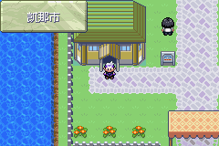 《口袋妖怪漆黑的魅影》5.0图文攻略