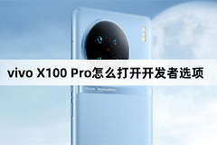 vivo X100 Pro打开开发者选项方法