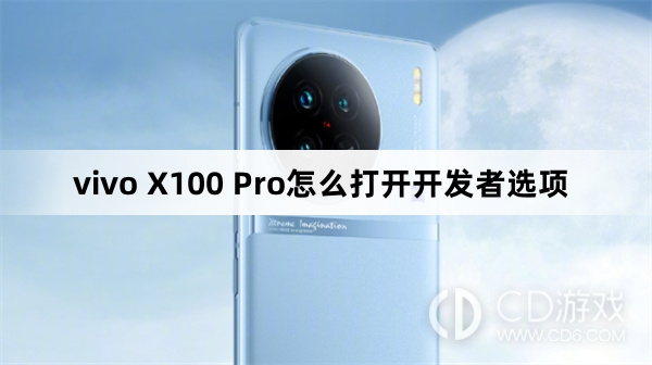 vivo X100 Pro打开开发者选项方法