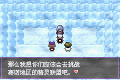 《口袋妖怪漆黑的魅影》5.0图文攻略