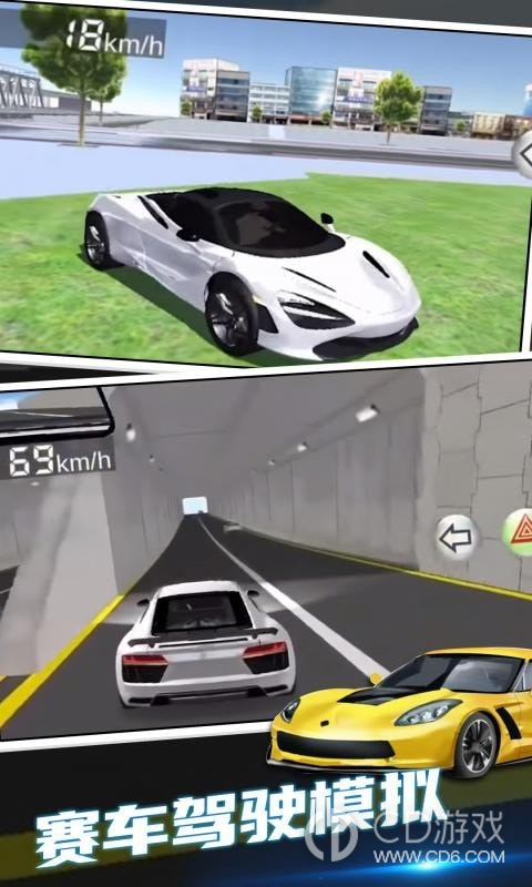 赛车驾驶模拟器2024版1